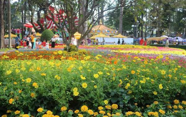 Chiêm ngưỡng những sắc hoa rực rỡ tại Hội hoa xuân lớn nhất Sài Gòn
