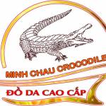 Cá Sấu Minh Châu Profile Picture