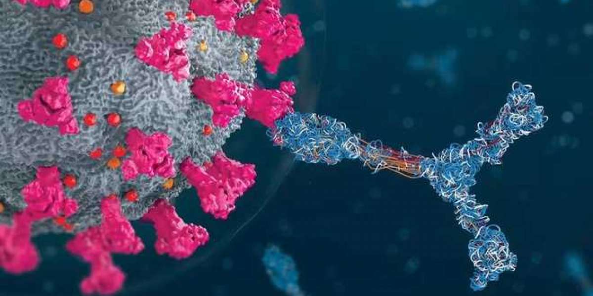 Nhựng phát hiện mới về những người có siêu kháng thể với Covid-19