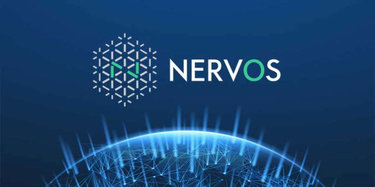 Tìm hiểu Nervos Network (CKB) là gì? Tìm hiểu chi tiết về CKB token