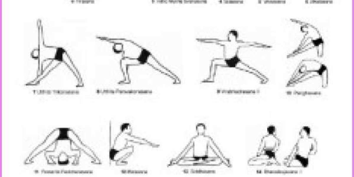 Torrent 84 Classic Yoga Asanas Mobi Free Rar Book