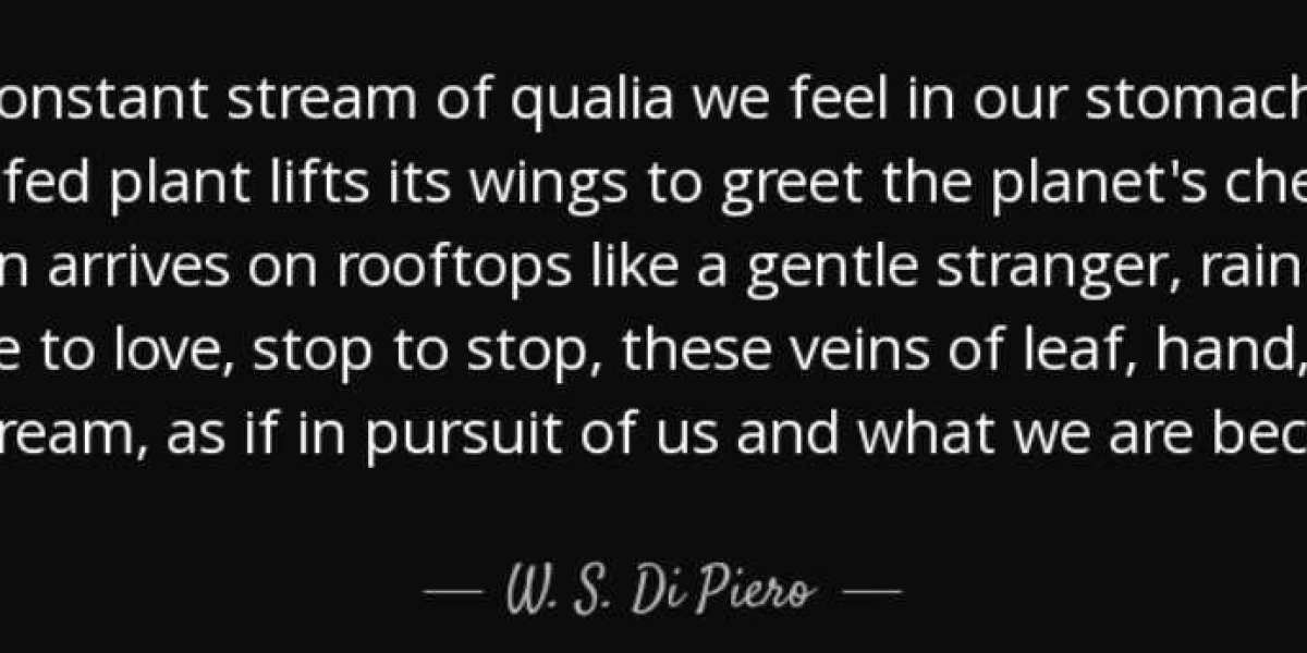 W. S. Di Piero Quotes