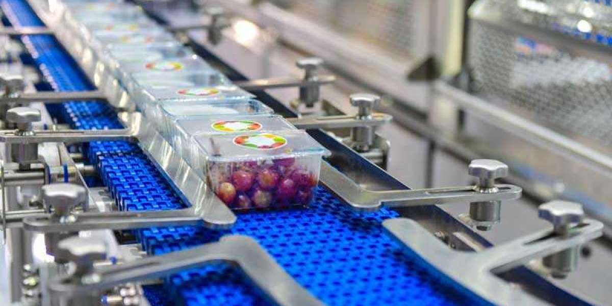 Food Packaging Automation Market Trends, Segmentation, Size, Trends and Opportunities Forecast till 2028
