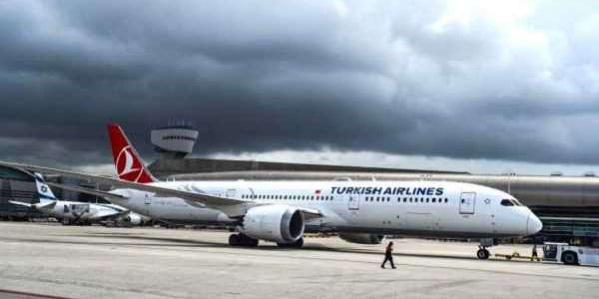 Turkish Airlines Cancellation Policy And Turkish Airlines Office In Kyiv