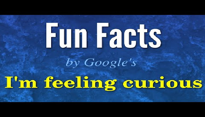 I'm Feeling Curious about Google fun facts