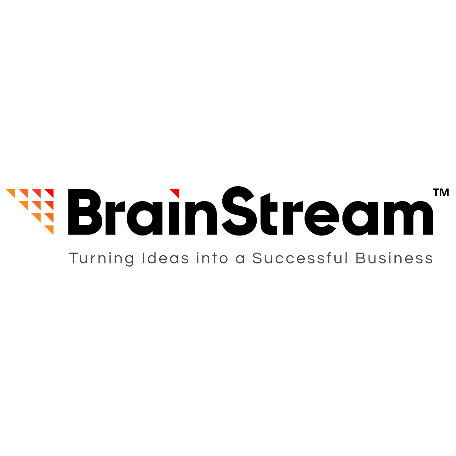 Software Development Company India | IT Services & Solutions | BrainStream Technolabs