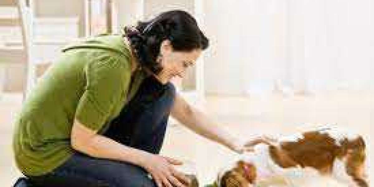 Global Pet Care (Food, Healthcare, Accessories, Grooming) Market Outlook, 2025  is an amalgamation of pet food, pet acce