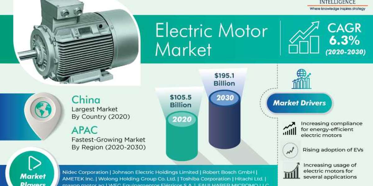 Electric Motor Market Insights, Leading Players and Forecast Report 2030