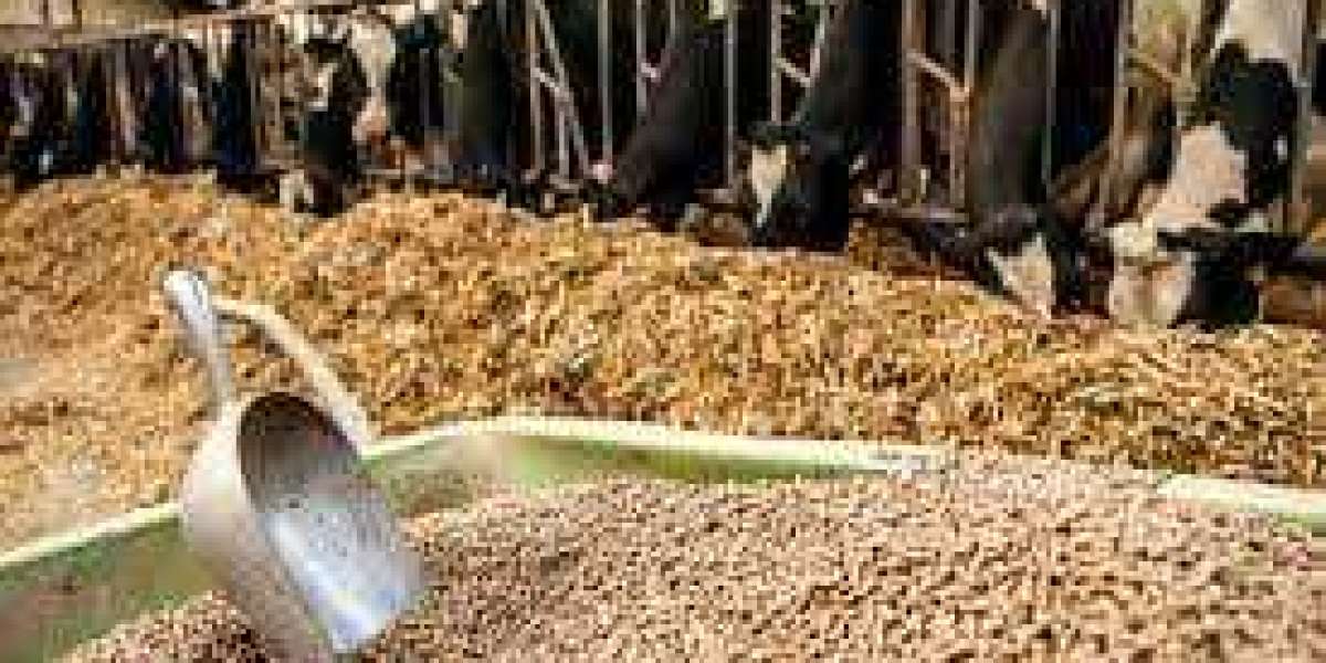 Global Animal Feed Market Is Anticipated To Grow At A CAGR Of More Than 2.90% In Value Terms In The Forecast Period.