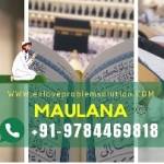 Maulana Ji Profile Picture