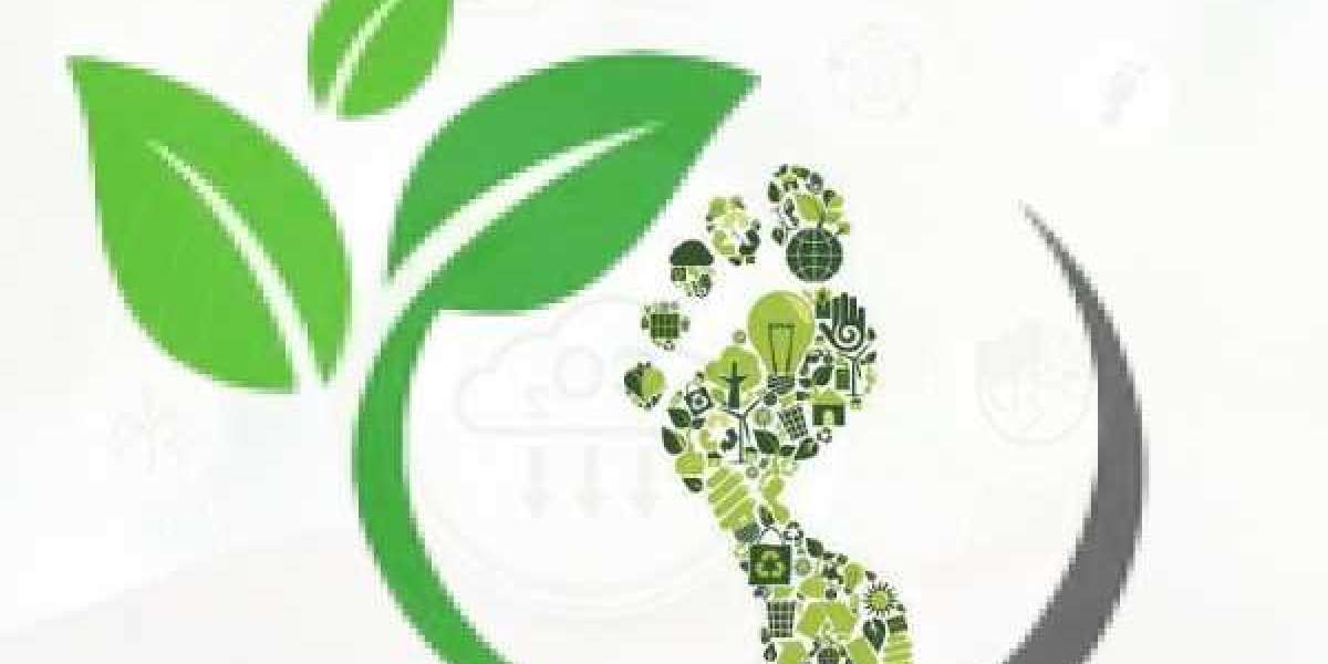 Global Carbon Footprint Management Market 2022 Company Profiles, Developments, Operating Business Segments 2029