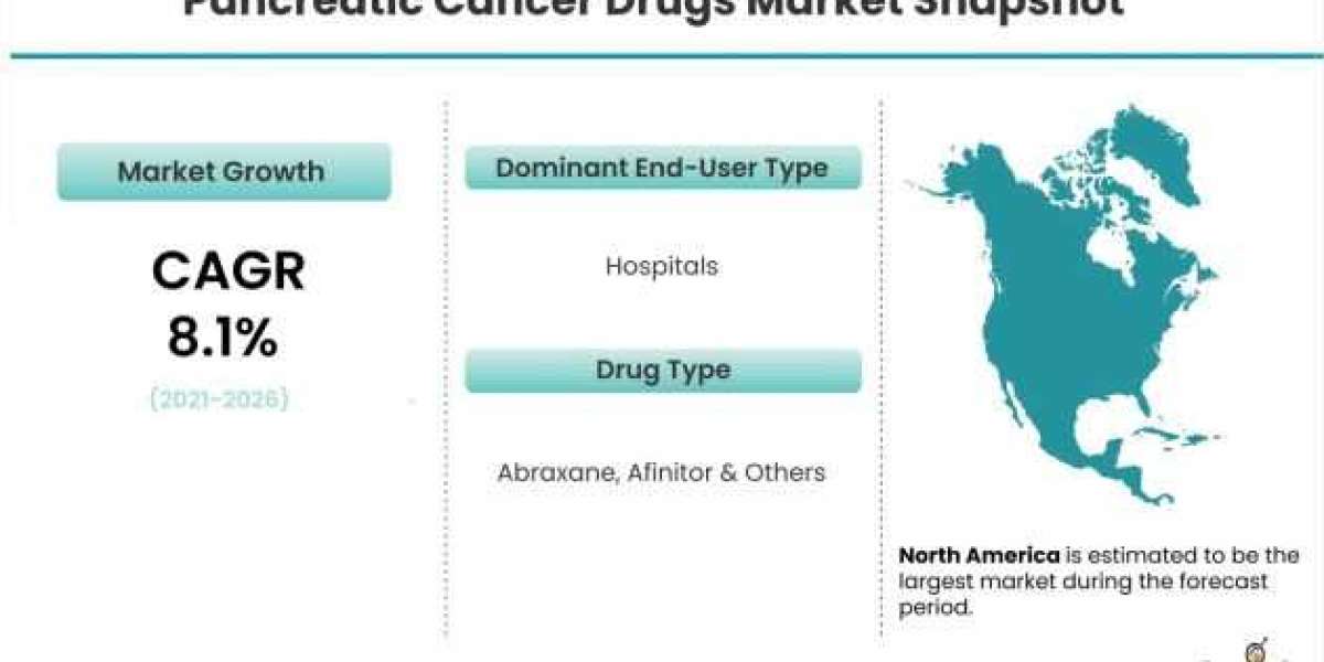 Pancreatic Cancer Drugs Market is Expected to Register a Considerable Growth by 2026
