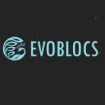 EVO BLOCS Profile Picture