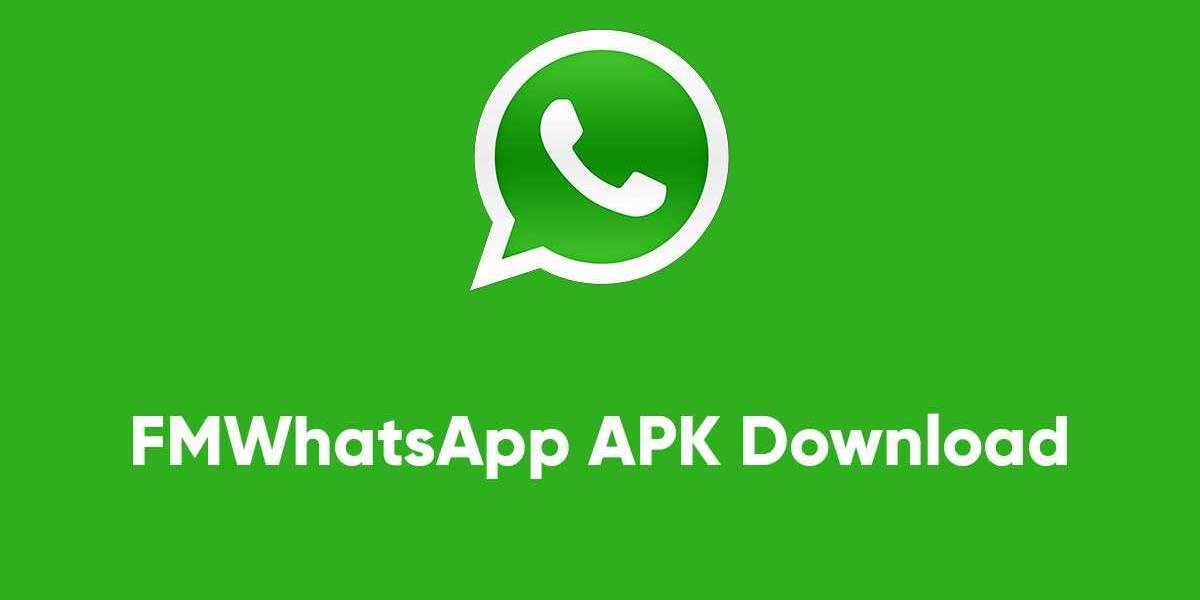 How can we customize the themes in FM Whatsapp?