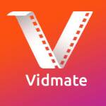 VidMate download Profile Picture
