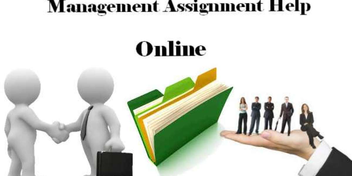 Management Assignment Help USA