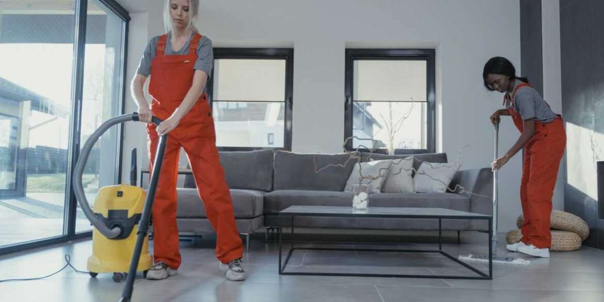 Transform Your Space with Expert Carpet Cleaning Services