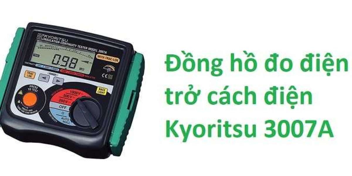Đồng hồ đo điện trở cách điện Kyoritsu 3007A