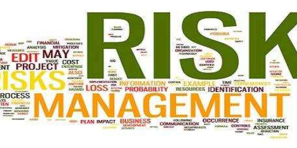 Risk Management Assignment Help USA