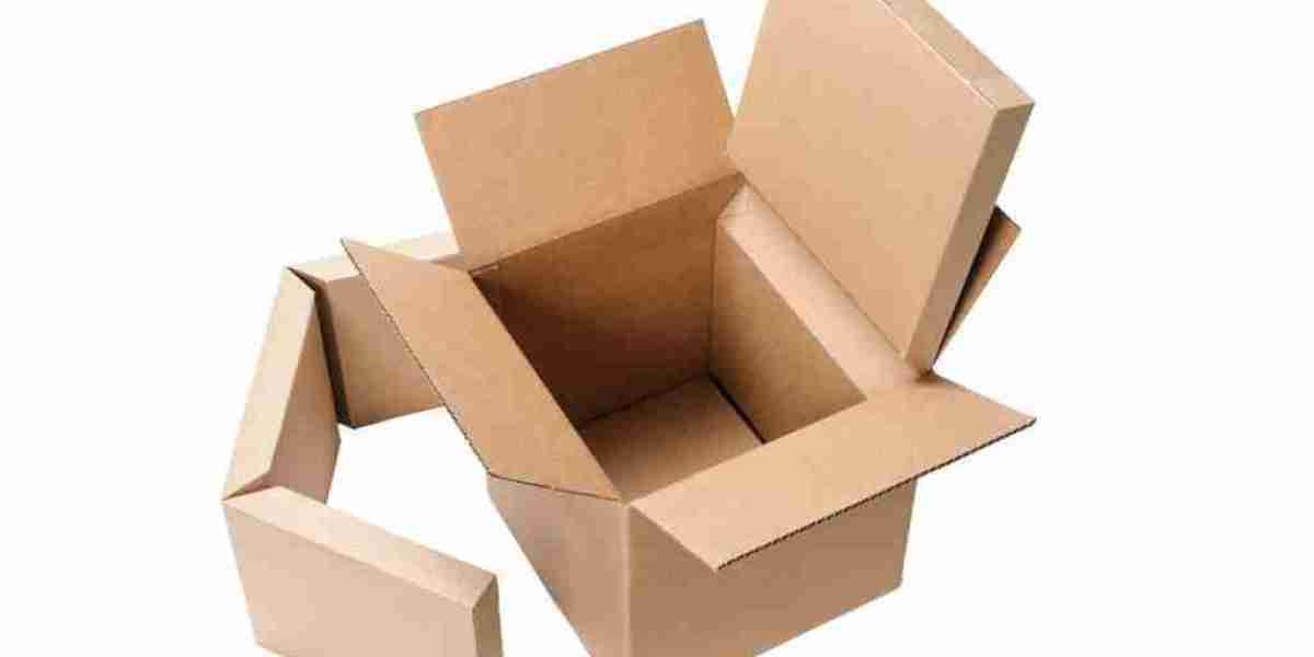 Cold Chain Packaging Market Trends 2023 | Growth, Share, Size, Demand and Future Scope 2028