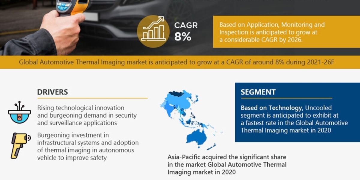 Unlocking Potential in the Automotive Thermal Imaging Market: Top Companies and Growth Opportunities
