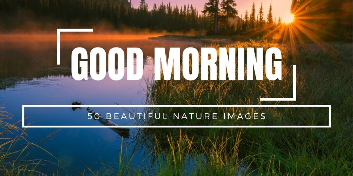 Nature's Wake-Up Call: How Good Morning Images Can Energize Your Day