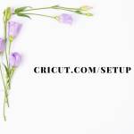 cricut setup Profile Picture