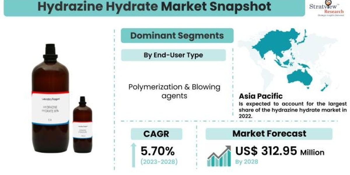 Global Hydrazine Hydrate Market Analysis by Region