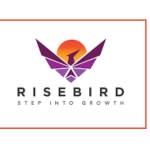 Rise Bird