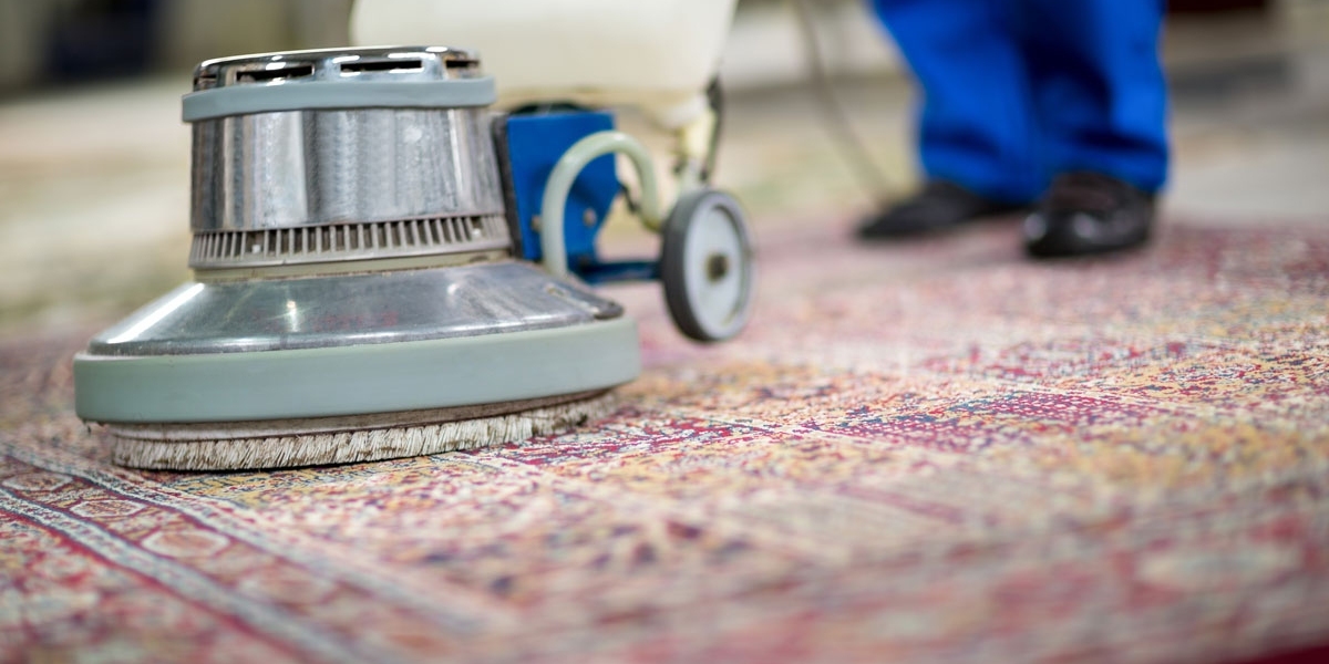 Discover the Magic Professional Cleaning Services for Amazing Carpets