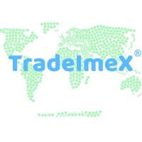 HOW TO IMPORT COMMODITIES FROM TURKEY TO THE UNITED KINGDOM? by TradeImeX Info Solutions