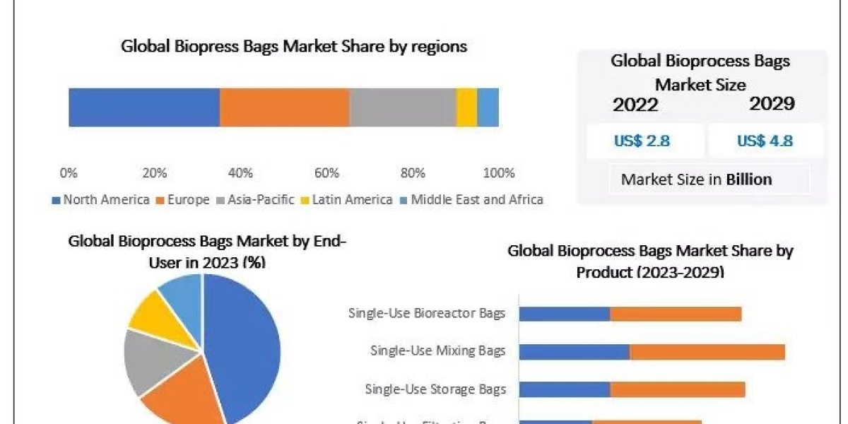 Bioprocess Bags Market Poised to Reach US$ 4.8 Billion by 2029 with a 6.20% CAGR