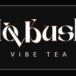 Dovbush Tea Profile Picture