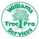 Services Williams Tree Pro