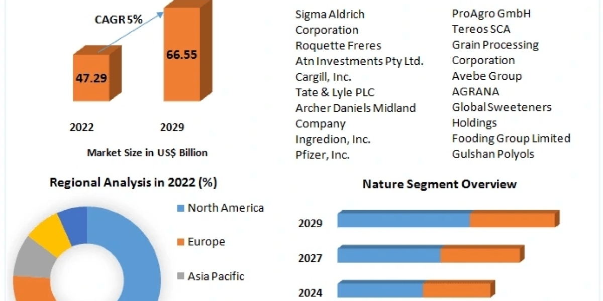 Glucose Market Report, Size, Development, Key Opportunity 2029