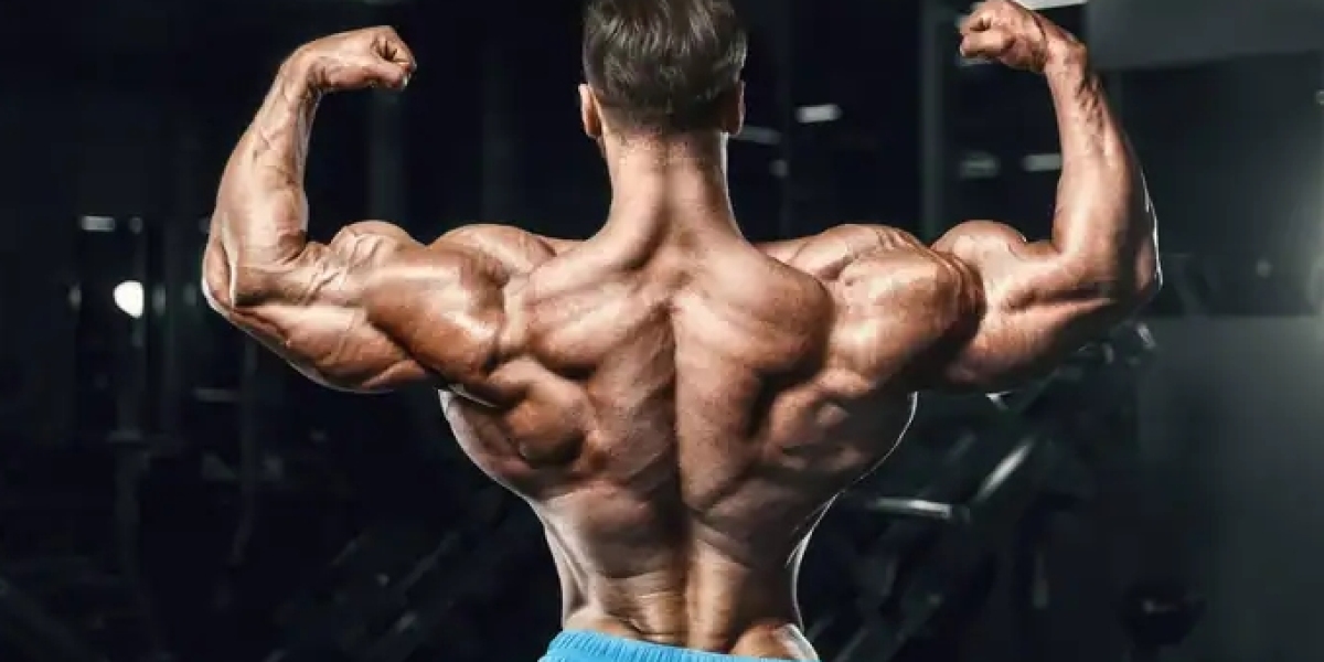 Exploring the Legality, Risks, and Ethics Surrounding Steroids for Sale in the USA