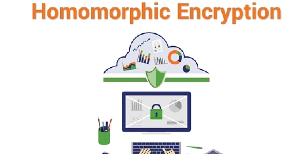 Homomorphic Encryption Market Profile, Outlook and Segmentation Till 2032