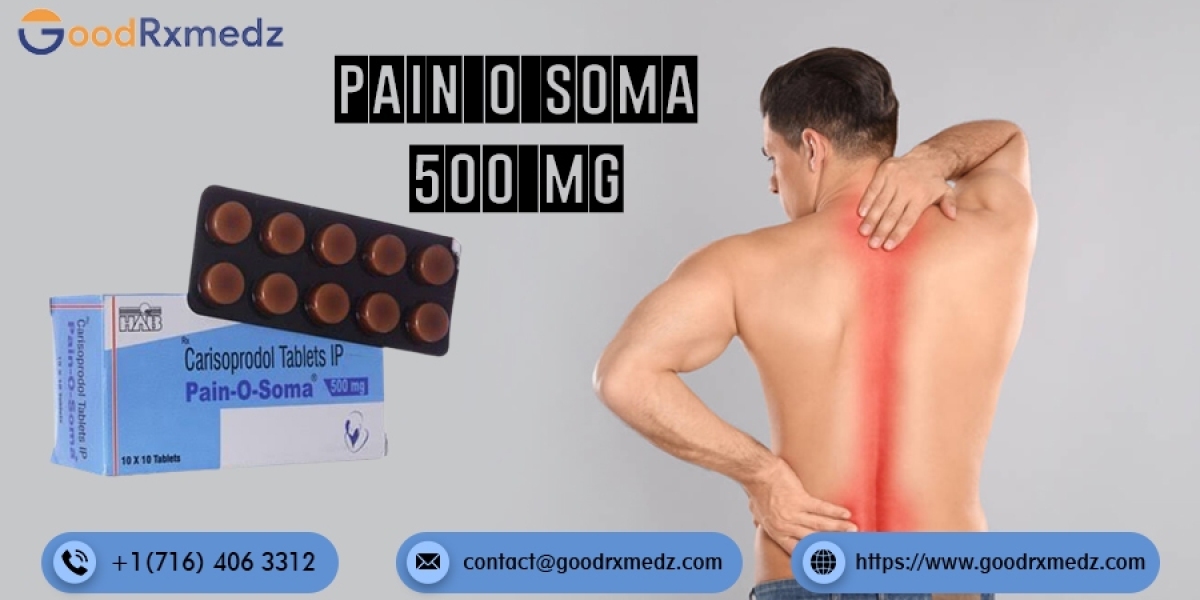Pain O Soma 500 mg Tablets at Lowest Cost