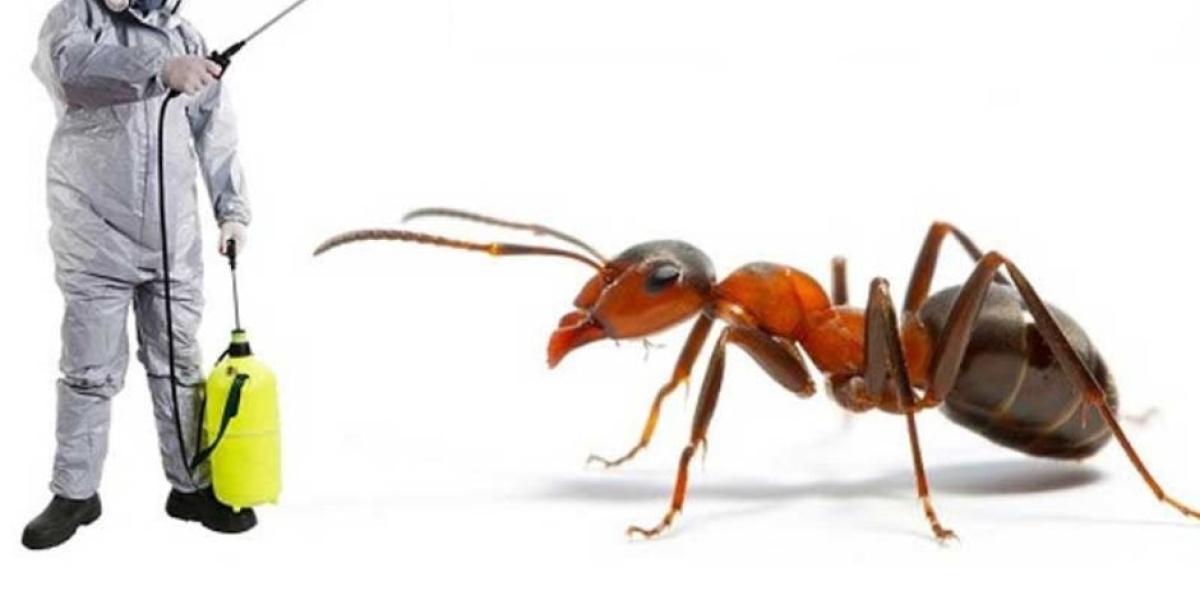 Bug Removal Eco-Friendly Pest Control Services for Homes
