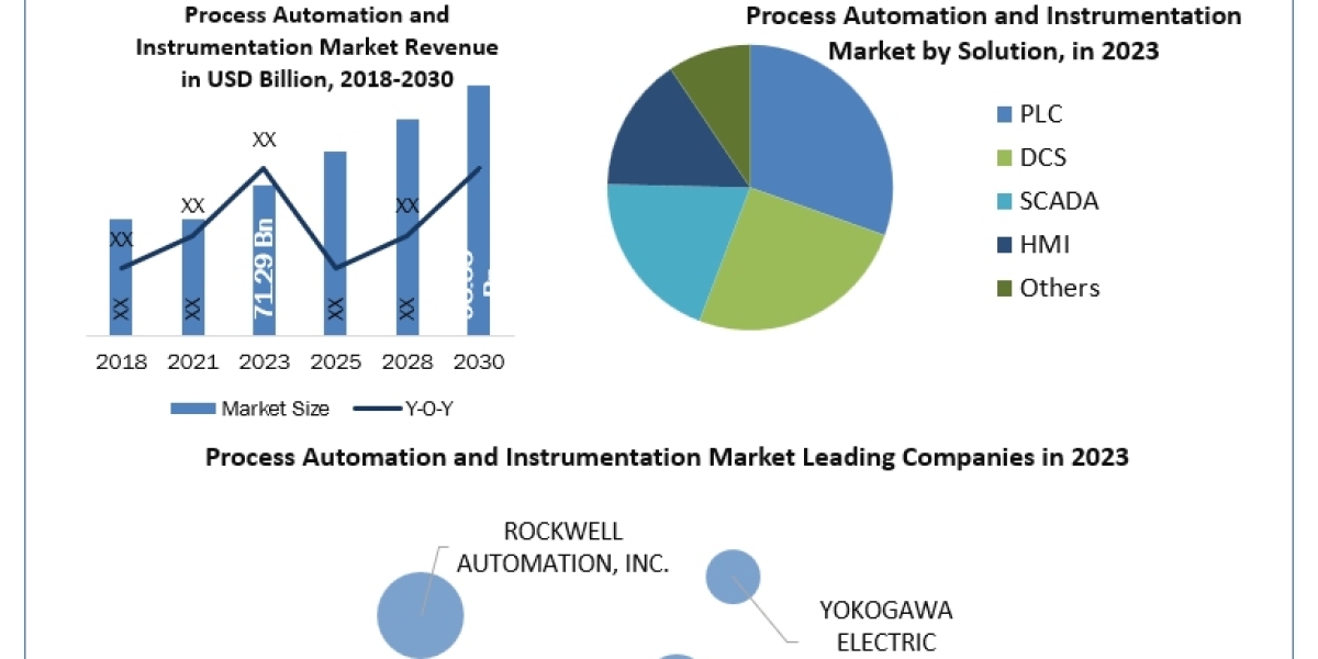 Process Automation and Instrumentation Market Leading Players and Forecast to 2024-2030