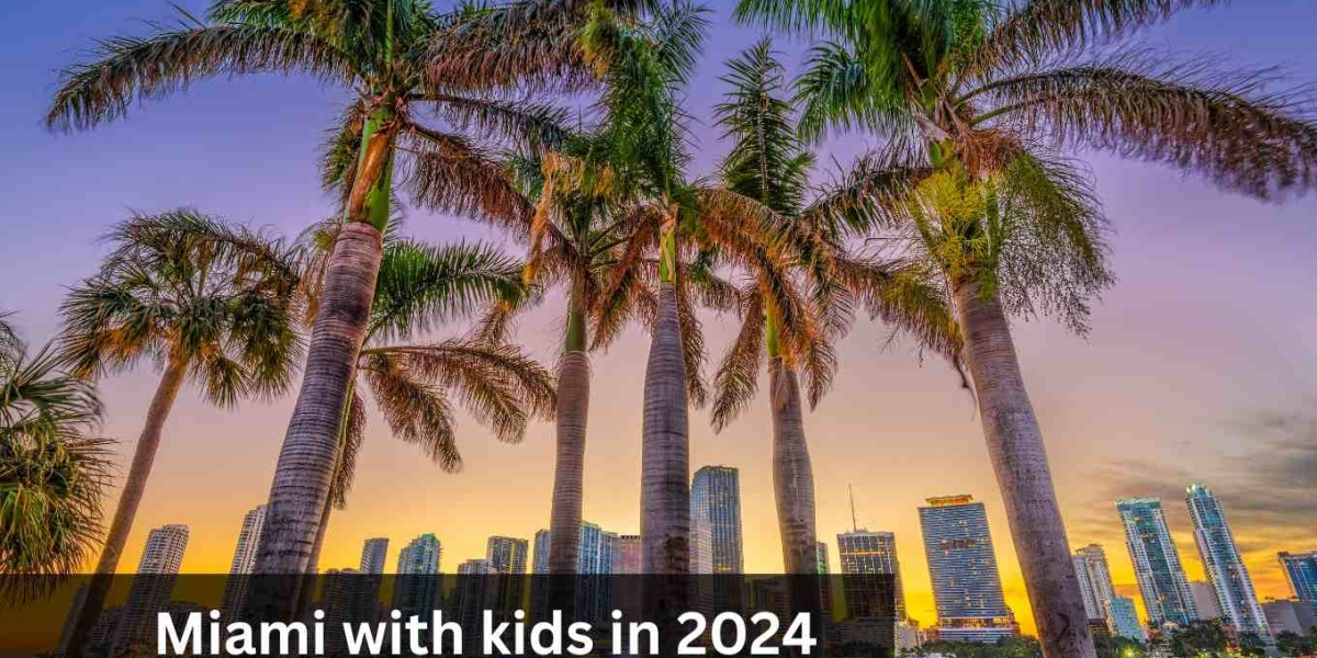 Miami 5 Unforgettable Family Gems to Explore in 2024
