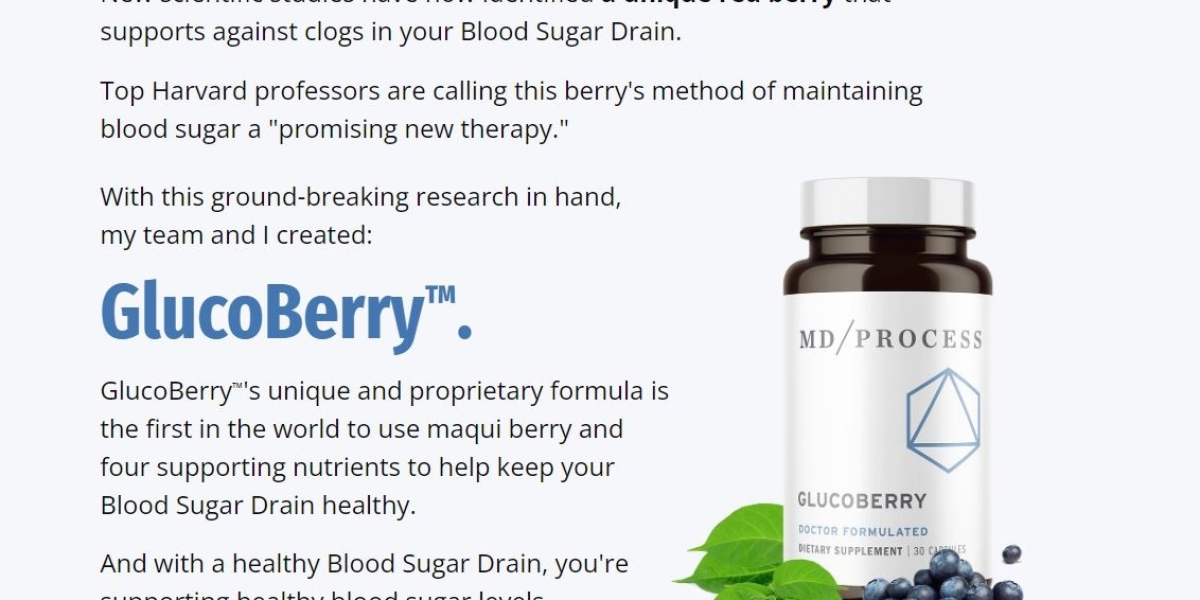 What Are the Key Ingredients in GlucoBerry Blood Sugar for Blood Sugar Support?