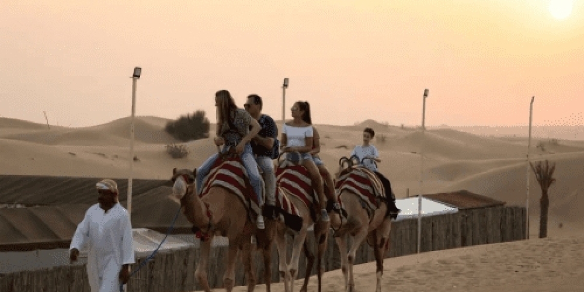 Dubai's Desert Symphony: Safari Escapes for Every Adventurer