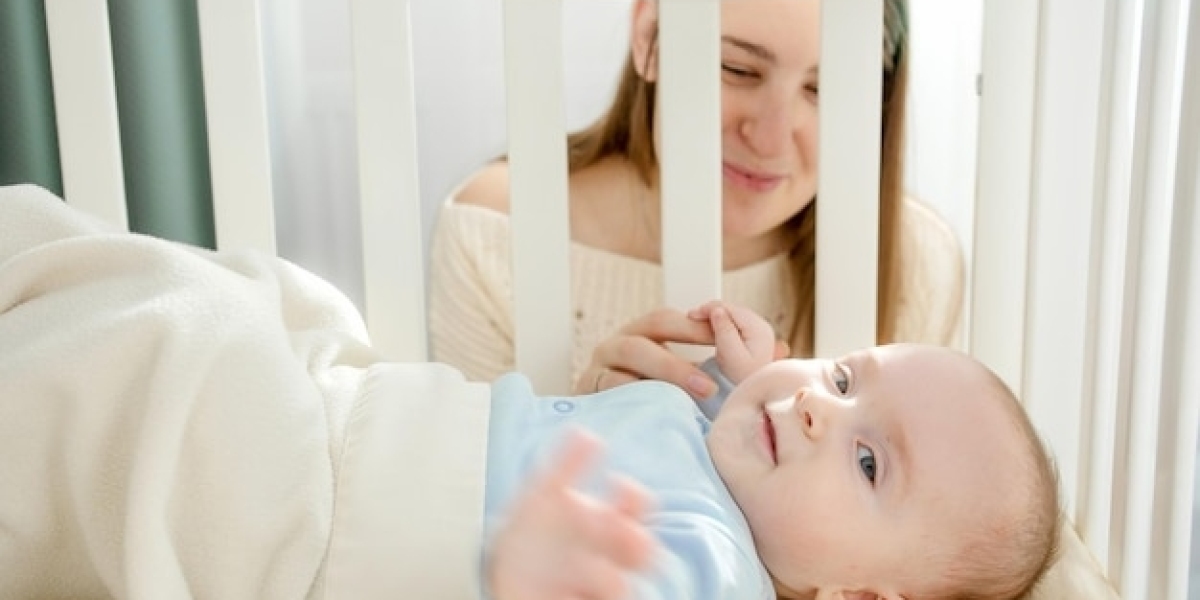 Beyond Today: Future Demand Dynamics in the Baby Proofing Market