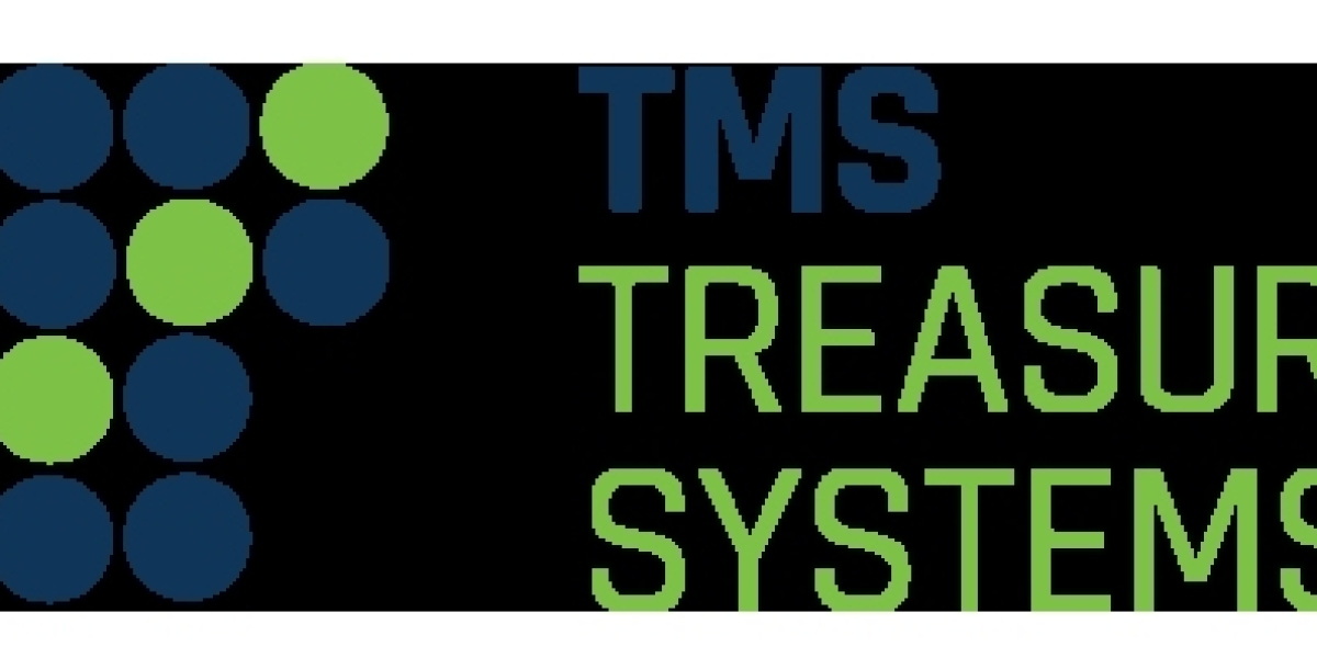 Treasury Management System (TMS) Market Insights on Current Scope 2033
