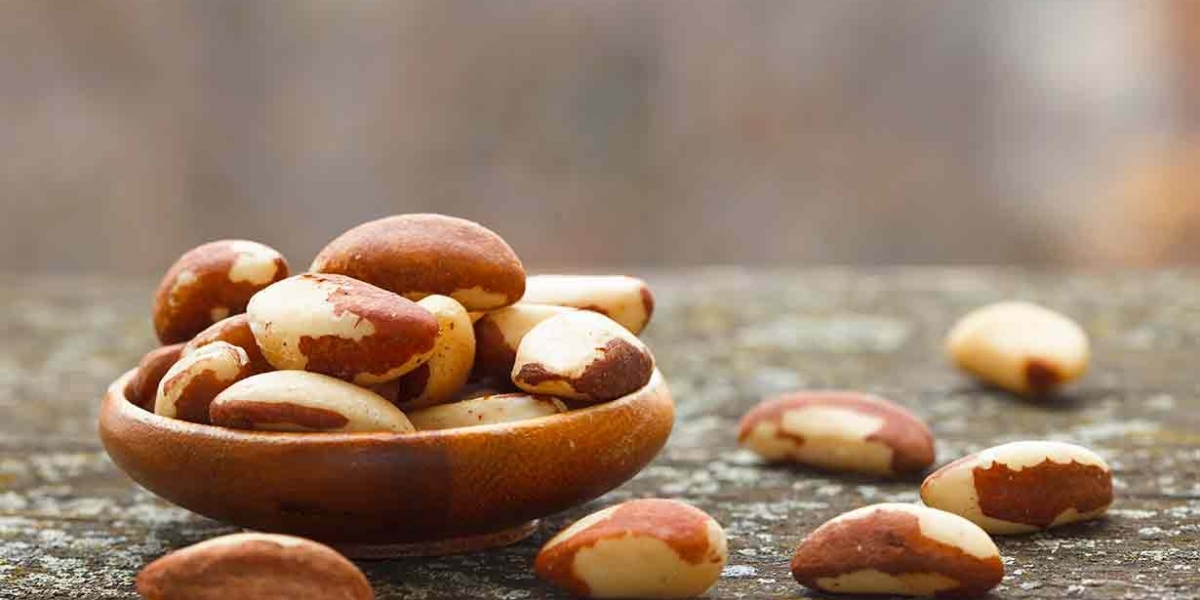 Brazil Nuts Offer Incredible Health Benefits