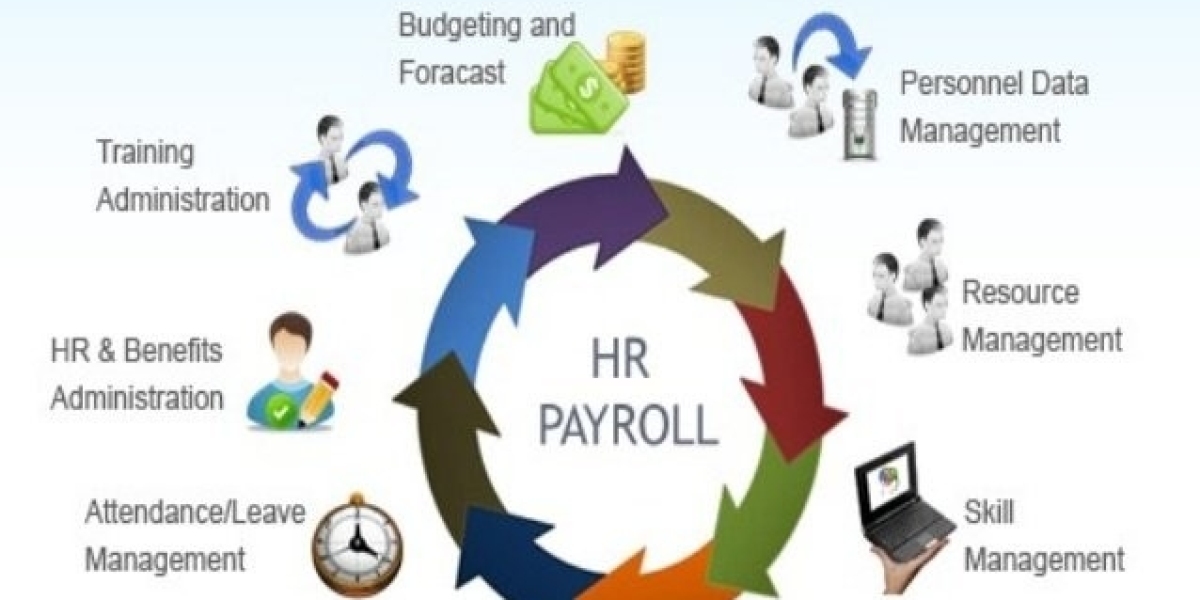 Redefining Efficiency: The Evolving Landscape of HR Payroll Software Market 2022-2030