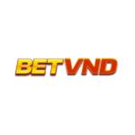 BETVND PRO Profile Picture