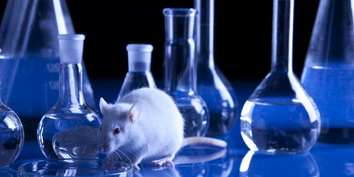 Unleashing Growth: Exploring the Dynamics of the Global Animal Biotechnology Market