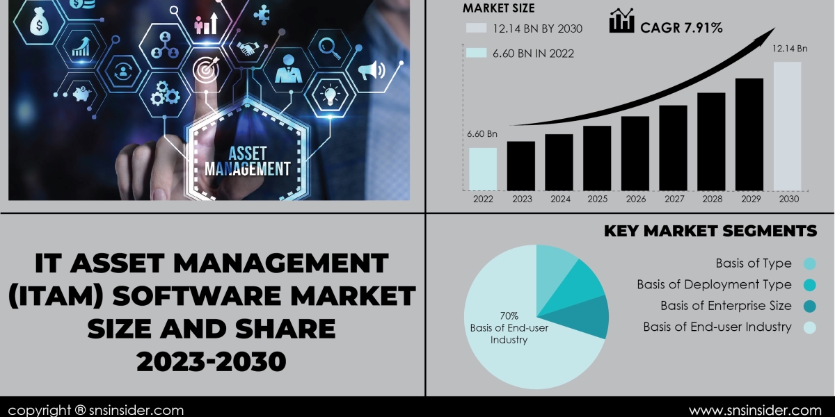 IT Asset Management (ITAM) Software Market Insights and Trends | Exploring Industry Dynamics